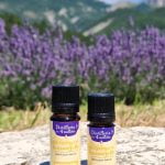 Huile essentielle d'immortelle Bio 5 ml ou 10 ml